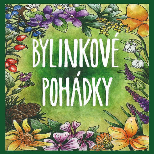 Bylinkové pohádky - L. a V. Hanusovi (mp3 audiokniha)