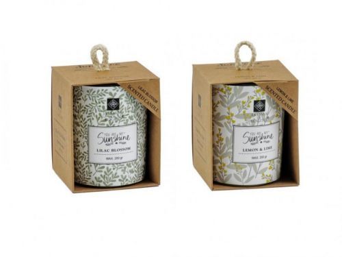 Sviečka v skle v boxe rôzne druhy