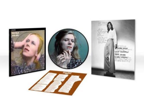 David Bowie, HUNKY DORY (PICTURE VINYL ALBUM), Vinyl