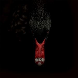 SANKT OTTEN & N - MANNERFREUNDSCHAFTEN UND METAPHYSIK, CD