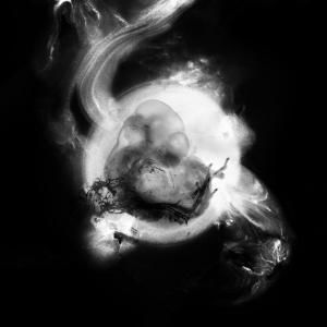 SAFFRONKEIRA - SAFFRONKEIRA, Vinyl