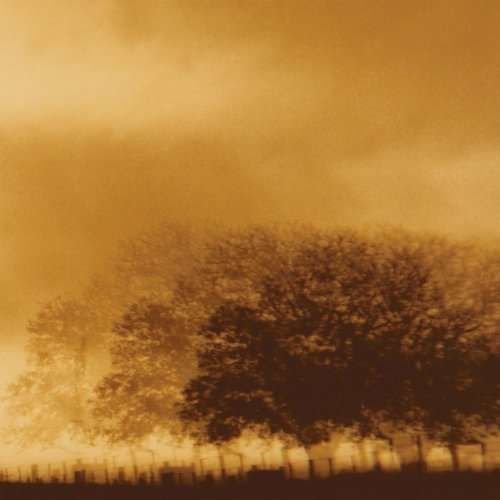 INFINITE LIGHT LTD. - INFINITE LIGHT LTD., Vinyl