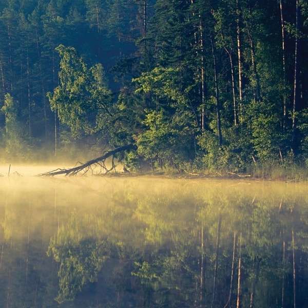 ONEIROGEN - PLENTITUDE, Vinyl