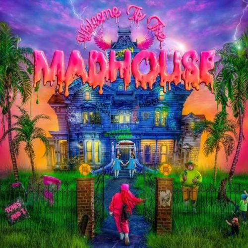 CD TONES AND I - WELCOME TO THE MADHOUSE