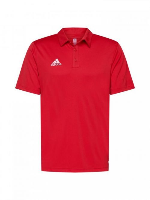 ADIDAS PERFORMANCE Funkčné tričko 'ENT22'  čierna / biela