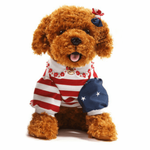 Plyšový pejsek, hnědá, 50cm, Azora