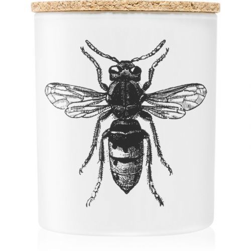 Vila Hermanos Insect Calabrone vonná sviečka 190 g