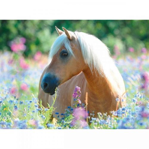 Ravensburger Kôň Puzzle 300 dielikov