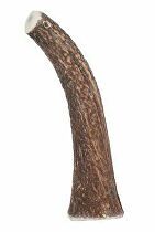 Liečba jeleních parohov celých HARD nad 20 kg Zolux