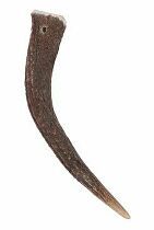 Ošetrenie jelenieho parožia celé HARD do 15 kg Zolux