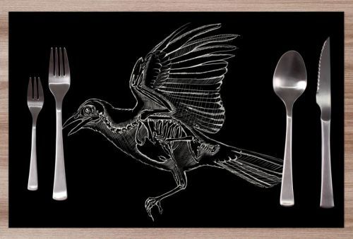 Prestieranie Bird skeleton