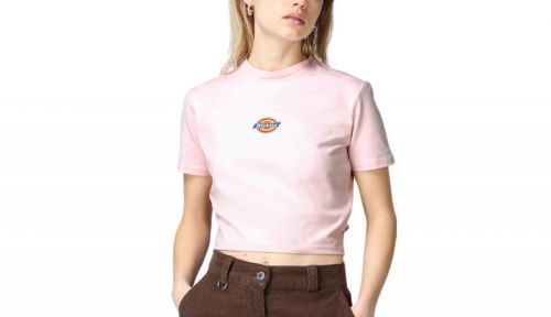 Dickies Maple Valley Tee Pink ružové DK0A4XPO-DKLPI