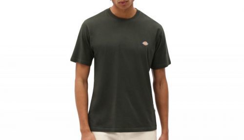 Dickies Mapleton T-Shrit zelené DK0A4XDBOGX