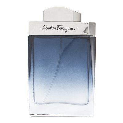 Salvatore Ferragamo Subtil Pour Homme toaletná voda pre mužov 50 ml PSAFESUPHOMXN013055