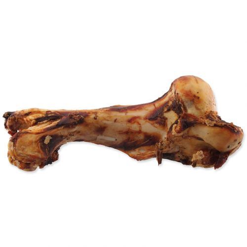 Kost RASCO Dog zauzená velikost M