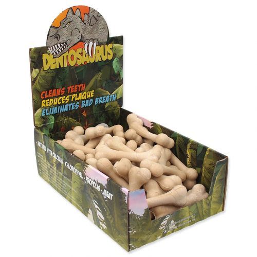 Kosti DENTOSAURUS kalciové