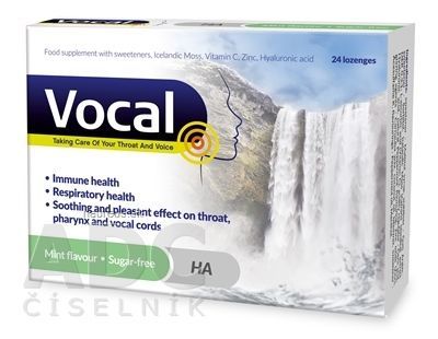 RPM Pharma France Sárl Vocal HA pastilky s mätovou príchuťou, bez cukru 1x24 ks