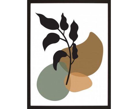 Zarámovaný obraz Botanic IV, 30x40 cm%