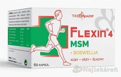 FLEXIN 4 MSM