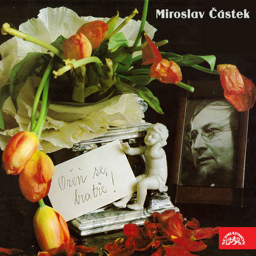 Ožeň se, bratře - Peter Altenberg, František Gellner, Josef Mach, Stanislav Kostka Neumann, Fráňa Šrámek (mp3 audiokniha)
