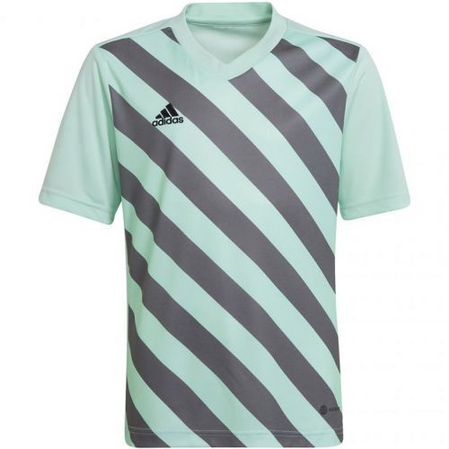 Adidas Entrada 22 Graphic Jersey Jr. HF0127 152CM