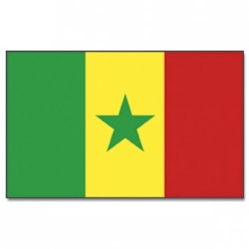 Vlajka Senegal 30 x 45 cm na tyčke