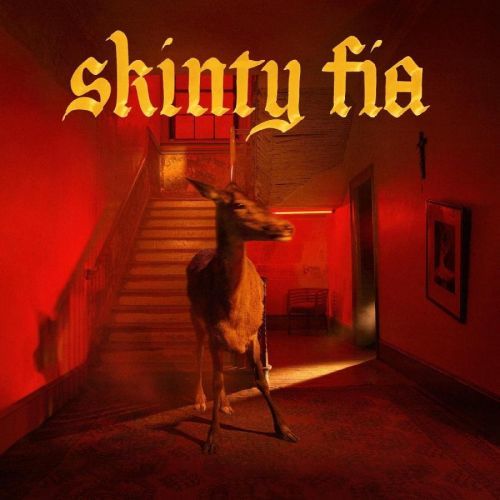 FONTAINES D.C. - SKINTY FIA, CD