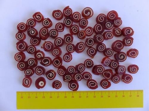 Pamlsok Salač Rolka kačica treska 250 g