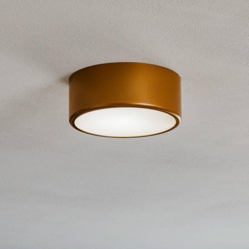 Stropné svietidlo Cleo, Ø 20 cm, zlaté