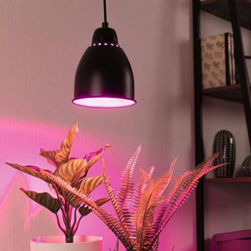 Paulmann Neordic Hilla závesná lampa, čierna