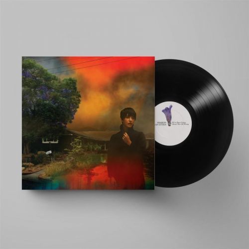 ETTEN, SHARON VAN - WE'VE BEEN GOING ABOUT THIS ALL WRONG, Vinyl