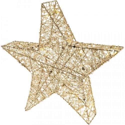 RXL 327 hviezda ligot. 20 LED 40cm RETLUX