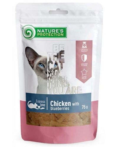Pamlsok Natures P Snack cat chicken & blueberries 12x75 g