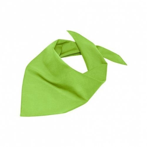 Šatka trojcípa Myrtle Beach Triangular Scarf - svetlo zelená