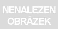 Puzzlika 14255 Ptáci 5 v 1 - puzzle 5 obrázků z 25 dílků