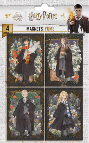 Distrineo Sada 4 magnetiek Harry Potter - Portréty