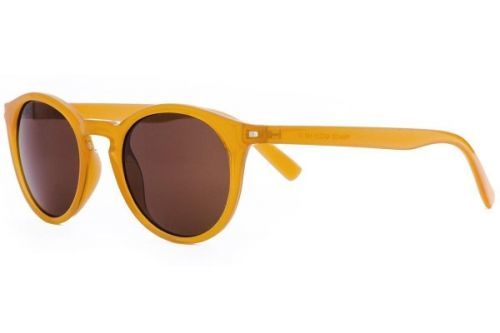 Pluto Tortoise - ONE SIZE (50)