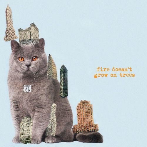 BRIAN JONESTOWN MASSACRE - FIRE DOESN'T GROW ON TREES, CD