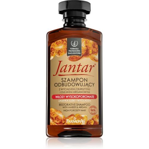 Farmona Jantar High Porosity Hair vyživujúci šampón na lesk a hebkosť vlasov 330 ml