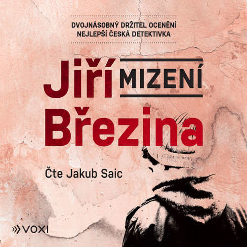 Mizení - Jiří Březina (mp3 audiokniha)