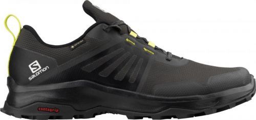 Salomon X-Render GTX Shoes M 41 1/3 EUR