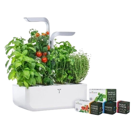 Véritable Chytrý kvetináč BBQ set