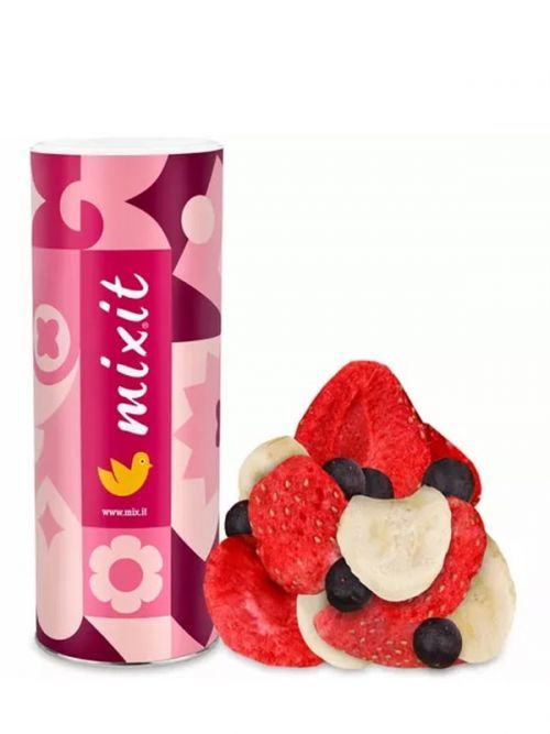 Veľké chrumkavé ovocie - banán, jahoda a čučoriedka MIXIT 160 g