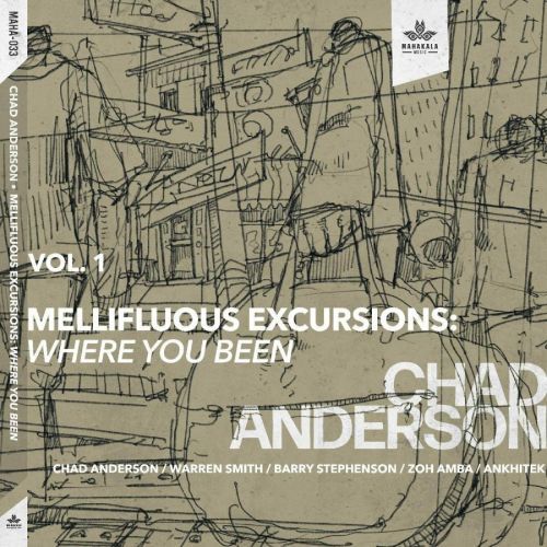 ANDERSON, CHAD - MELLIFLUOUS EXCURSIONS VOL.1: WHERE YOU BEEN, CD