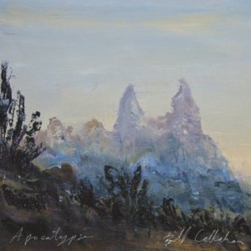 Apocolypse (Bill Callahan) (Vinyl / 12