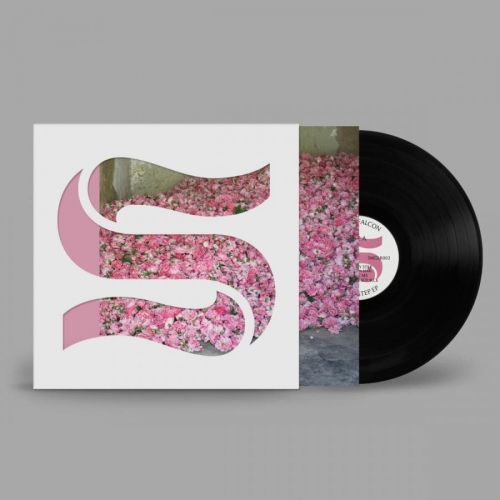 BRAXE & FALCON - STEP BY STEP, Vinyl