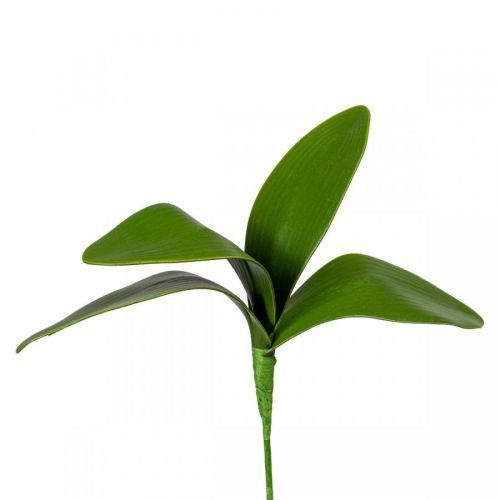 Umelý List orchidey, v. 20 cm