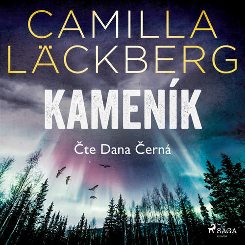 Kameník - Camilla Läckberg (mp3 audiokniha)