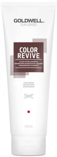 Goldwell Šampón na oživenie farby vlasov Cool Brown Dualsenses Color Revive ( Color Giving Shampoo) 250 ml