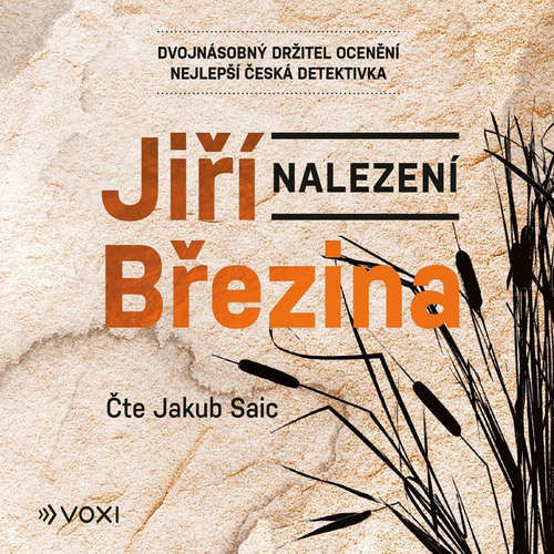 Nalezení - Jiří Březina (mp3 audiokniha)
